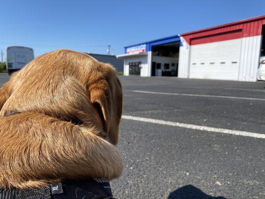 The front of the shop as seen from my pups perspective