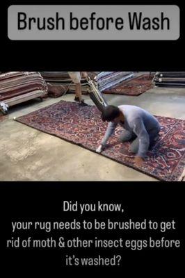 We fully brush your rugs before wash to prevent spread of any existing moth or insect eggs to the other parts of the rug.