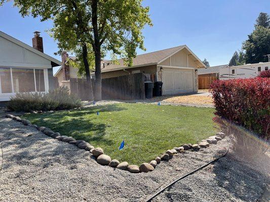 Neely installed landscape sod and rock job