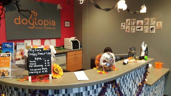 Front desk decorated for Halloween!