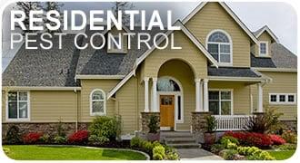 Residential Pest and Termite Control