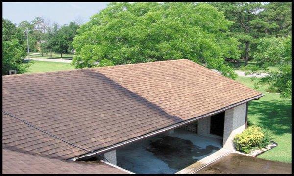 roof cleaning