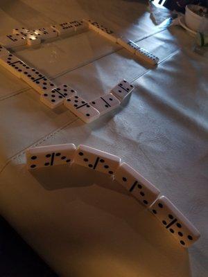 Playing Dominoes on a dirty leather table cover and flies flying everywhere.