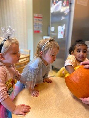 What's inside? Exploring pumpkins.