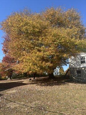 Helger's Turkey Ranch Farm