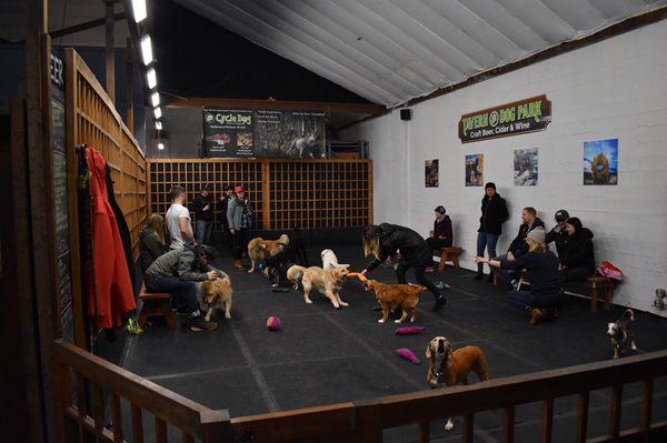 Indoor dog park