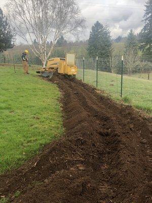 Stump grinding