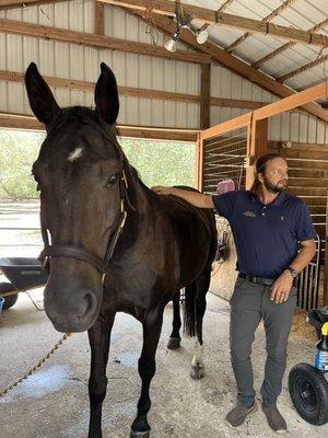 Horse Chiropractor