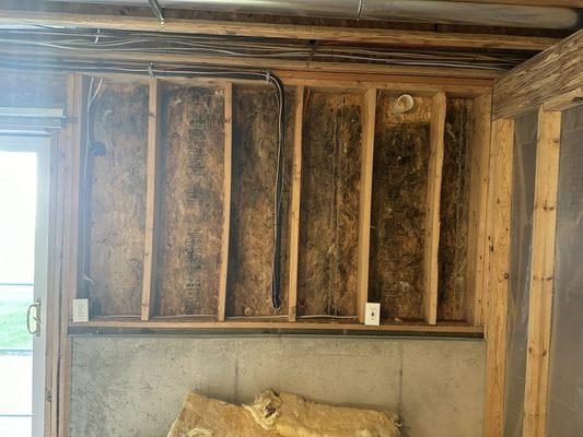 "Small amount" of mildew by outlet. There were 4 walls that were floor to ceiling mold