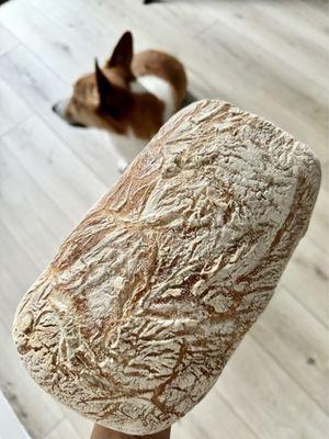 Ciabatta Loaf