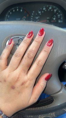 Shellac Fill $45