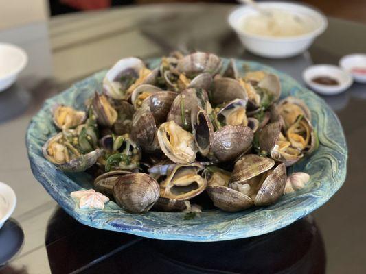 Manila clams