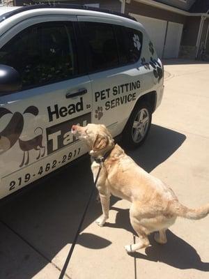 You might see my car out in Valpo, if you do honk!!! Then I will know you love pets.