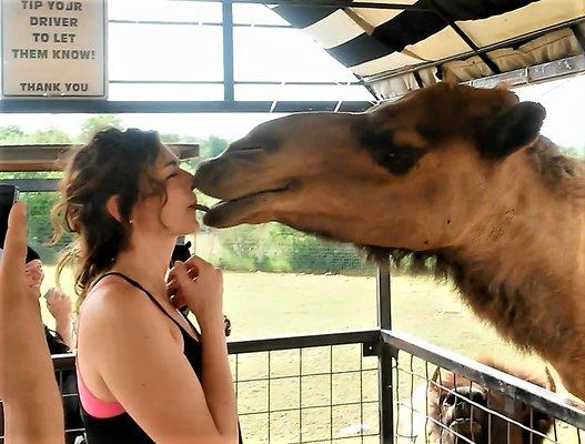 Give Omar a kiss!  He's very sweet about it.  (Note the buffalo at bottom.  He seems awfully jealous.)