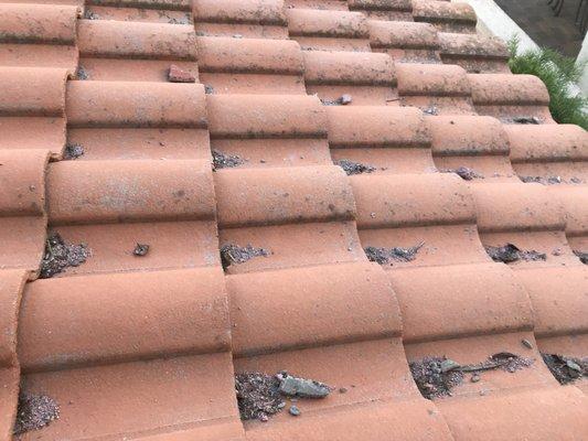 debris & nails not cleaned off the roof after work was done