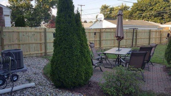 Pressure treated fence