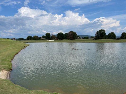 RTJ Golf Trail at Hampton Cove