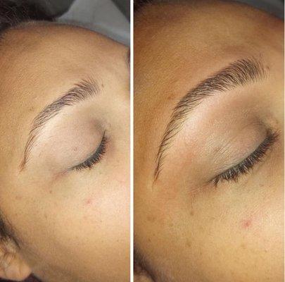 Eyebrow Wax Waxing Tampa FL