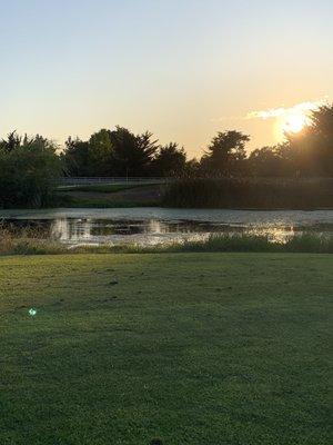 Another beautiful evening on hole 7