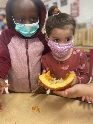 STEM Halloween activity with pumpkins.