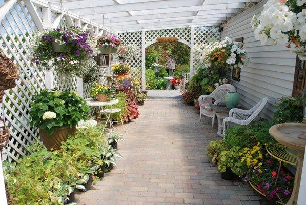 http://www.windsweptgardens.com/nursery.html