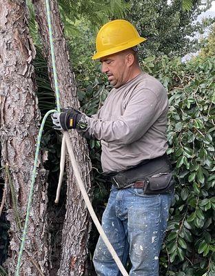 Getting his safety harness on