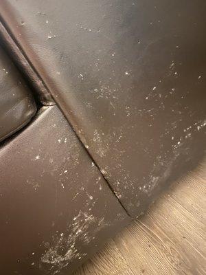 Mold on my couch