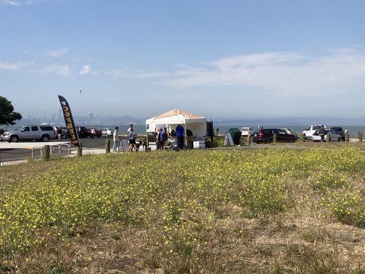 Coffee cart, wildflowers, and quite a view