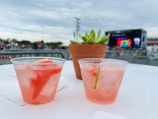 Watermelon Tequila. Delicious.