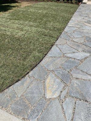 Flagstone walkway and lawn