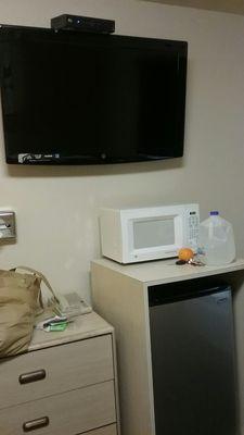 microwave, fridge & giant tv