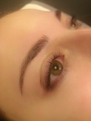 Brow Tint and Wax with a Lash Lift and Tint