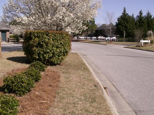 Street sceen of our Greenvilles manor  landscaping