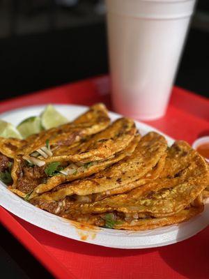 Queso Birria Tacos