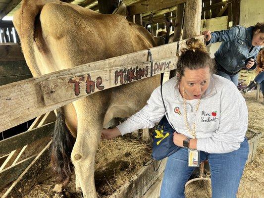 Teacher milking our cow for her class!!!