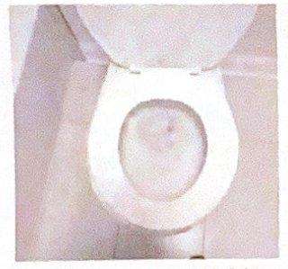 They took a picture of the toilet with some toilet paper inside and then charged me $180 to flush it.  Seriously.