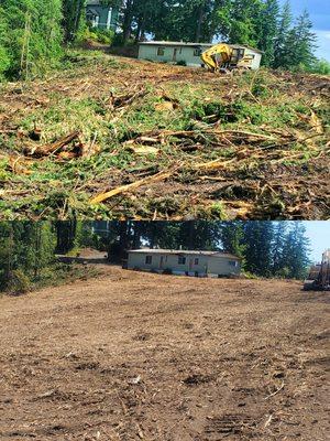 Before and after on a logging and tree clean up job