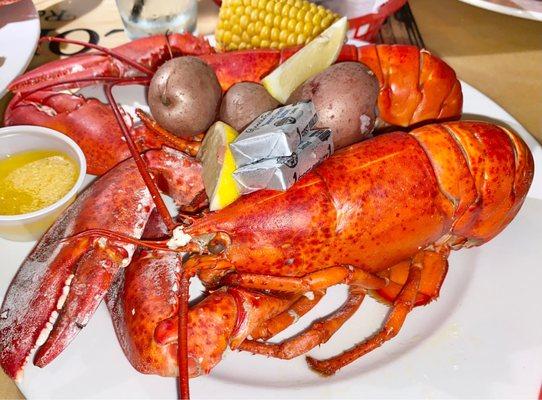 Maine Lobster, Potatoes, Corn on Cob & Butter