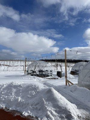 Igloo at the winery