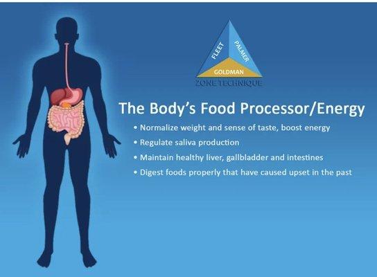 Zone 4 (Digestive Zone):
 
 If you have any digestive issues, food sensitivities, or weight issues, sounds like your Zone 4 needs balancing.