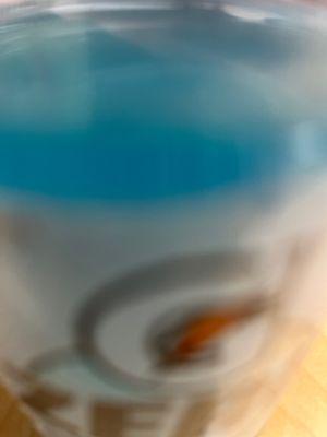 Gatorade Cool Blue 20oz without salt