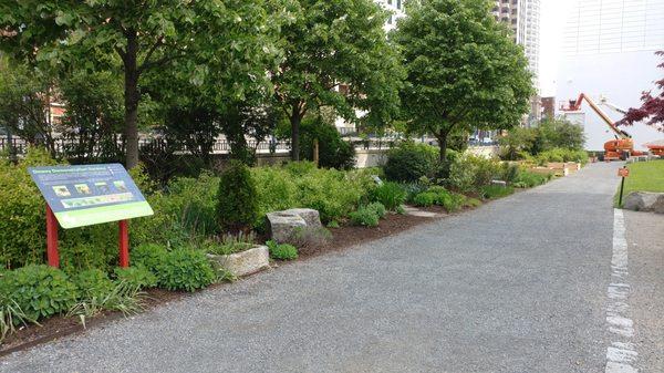 Boston's Dewey Square Park