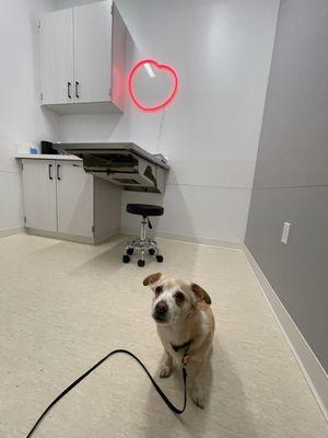 Buster for a wellness exam