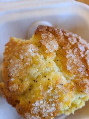 Delicious lemon poppy seed muffin