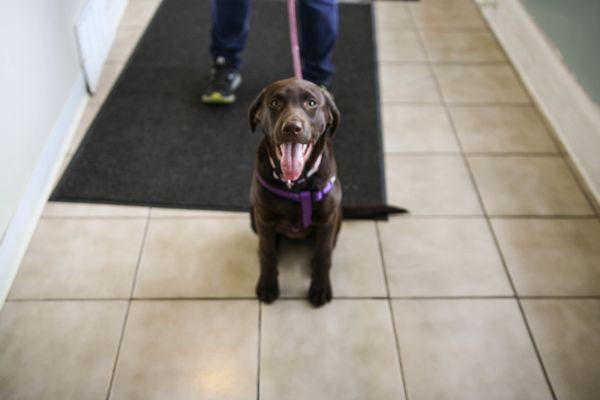 Borash Veterinary Clinic