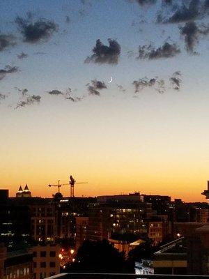 Rooftop view