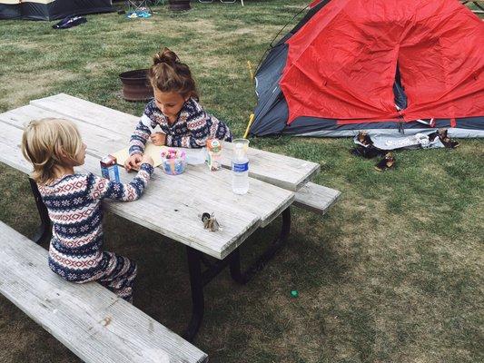 Mornings at the site. Picnic tables, fire rings.