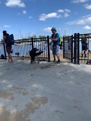 losers who left right after their dog pooped on the shore and they didn't bother to clean it up!