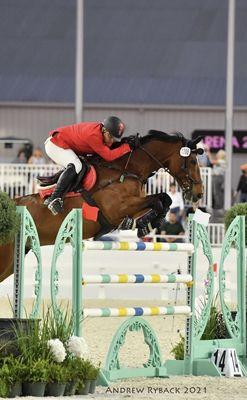 United Hay Sales and Equine Supplies