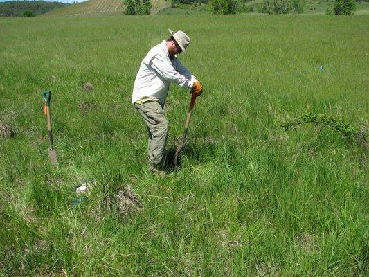 Wetland Delineation